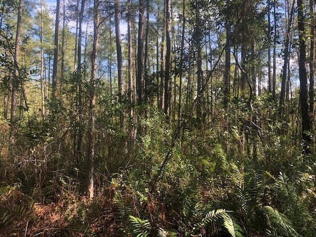 View details of listing 0 Old Grade Road, FL 33868 with MLS#