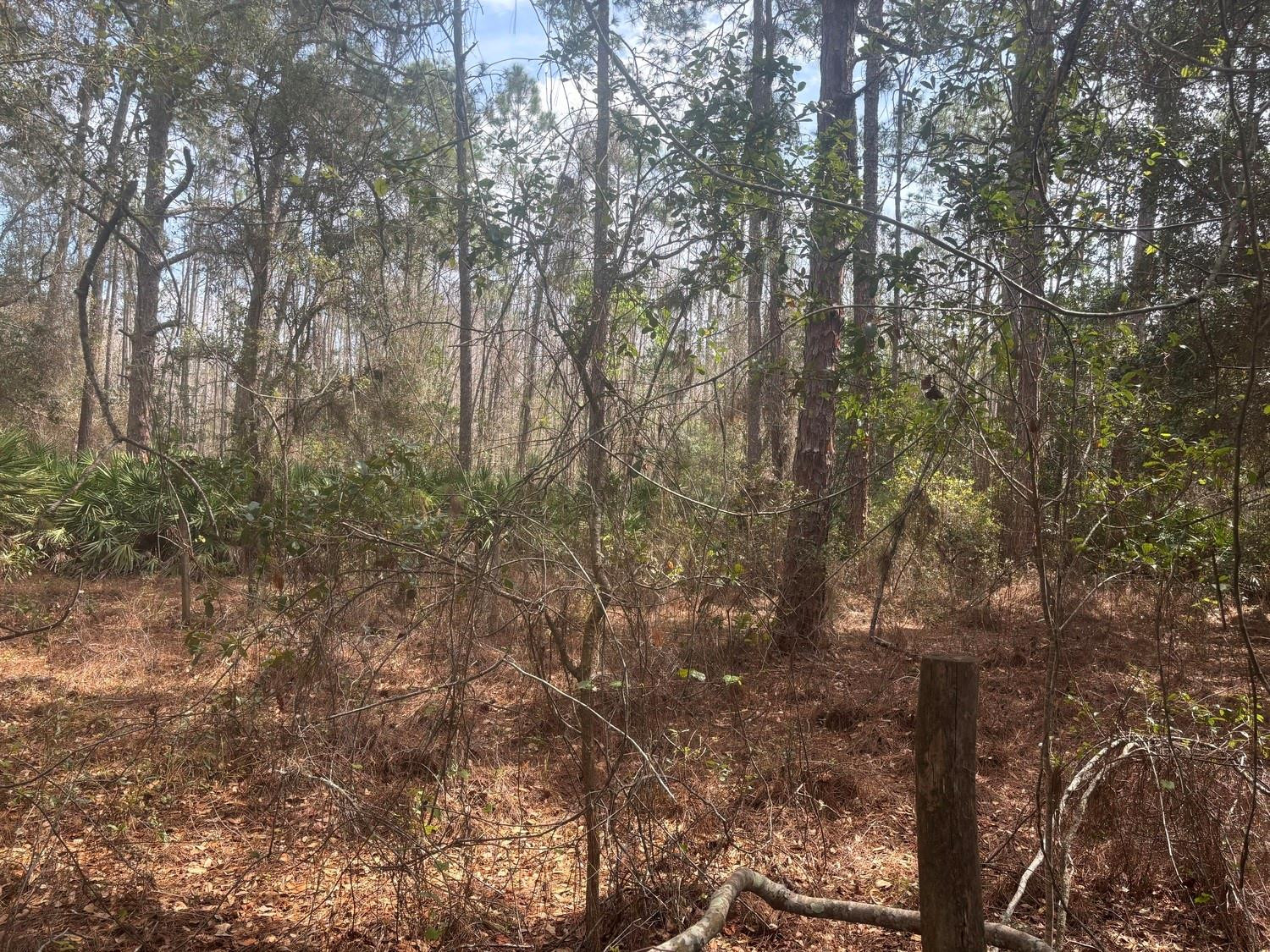View details of listing 0 Old Grade Road, FL 33868 with MLS#