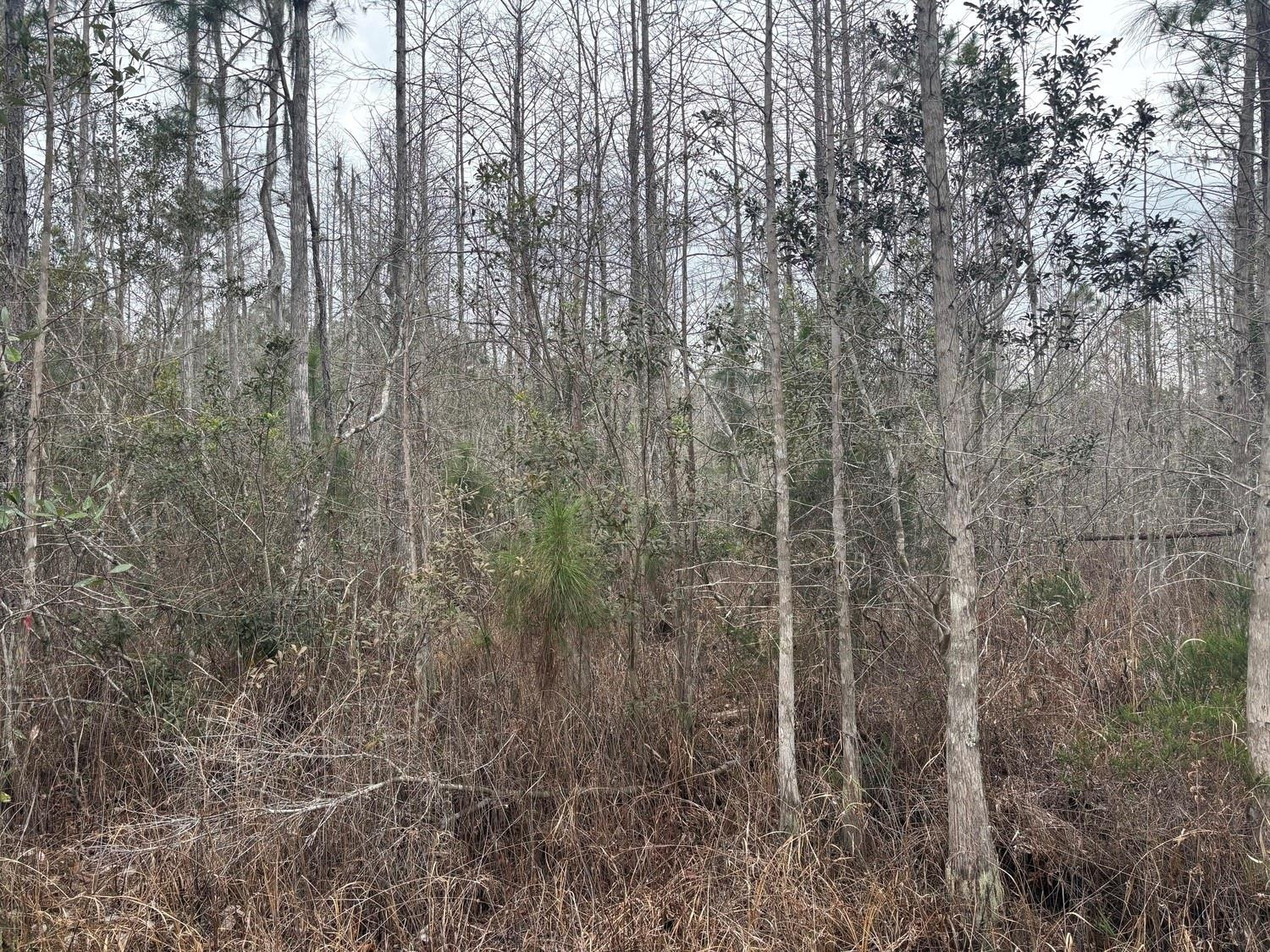 View details of listing 0 Old Grade Road, FL 33868 with MLS#