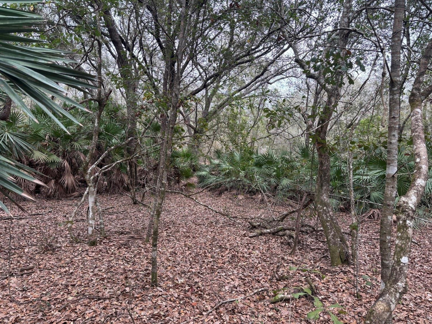 View details of listing 0 Old Grade Road, FL 33868 with MLS#