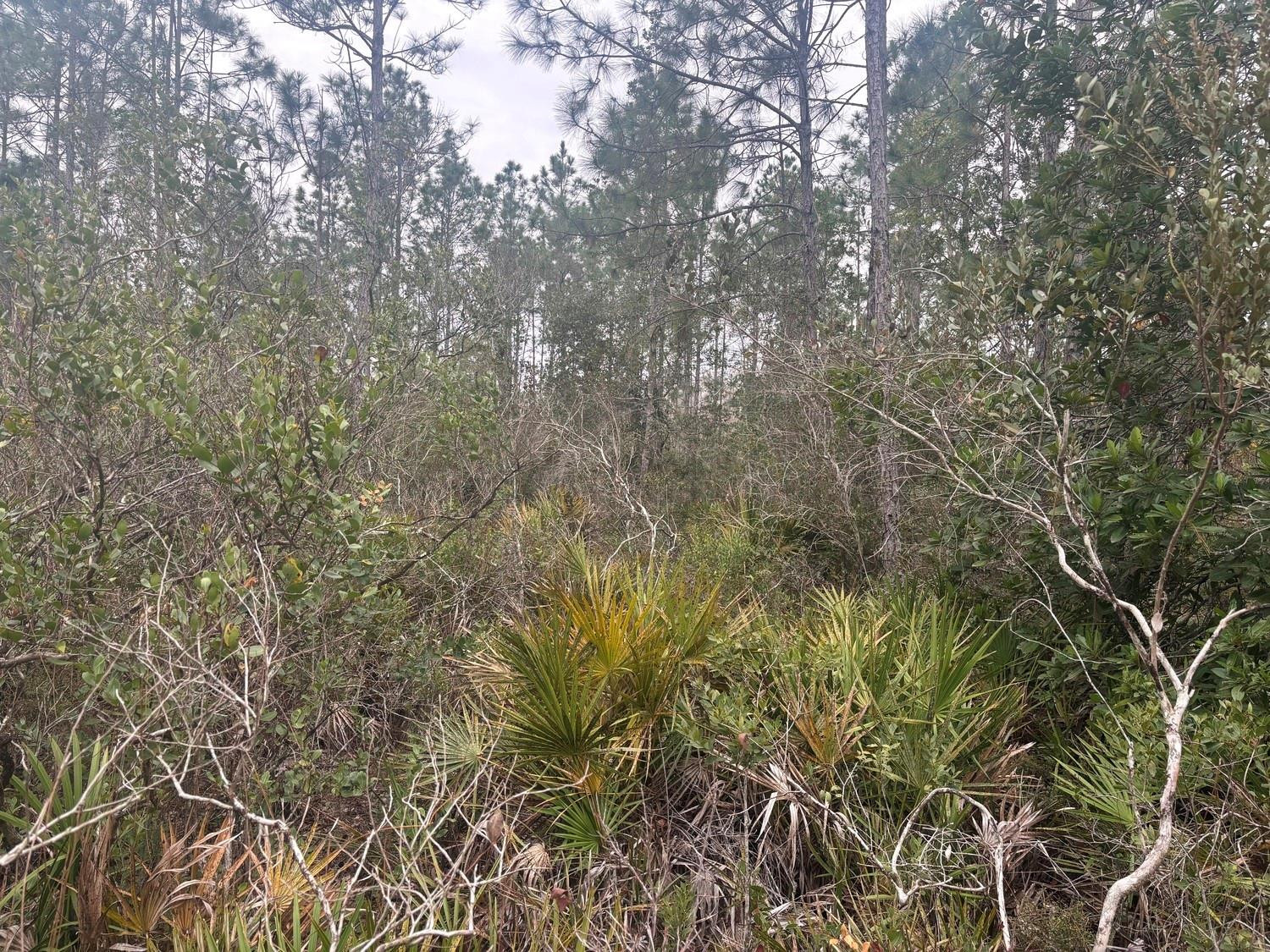 View details of listing 0 Old Grade Road, FL 33868 with MLS#