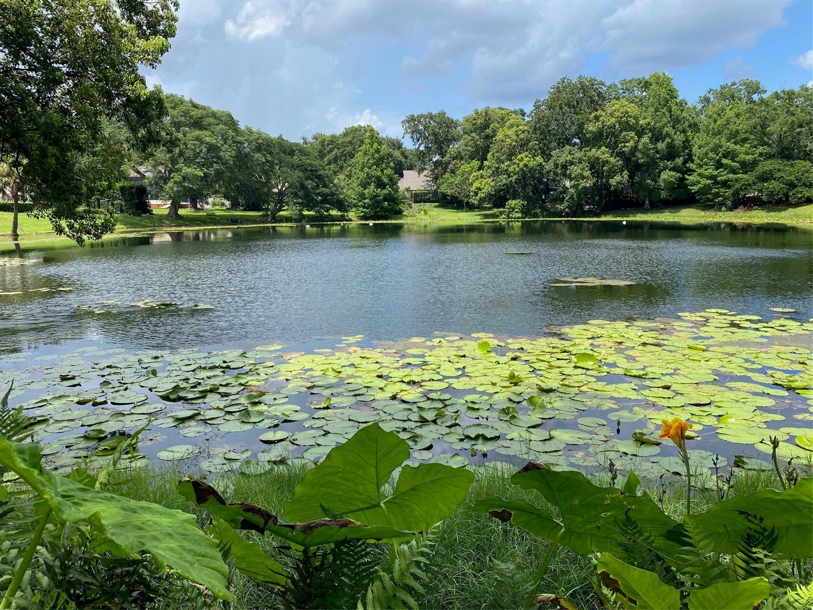 Listing O6379697 1113 VIA DEL MAR, WINTER PARK, FL 32789