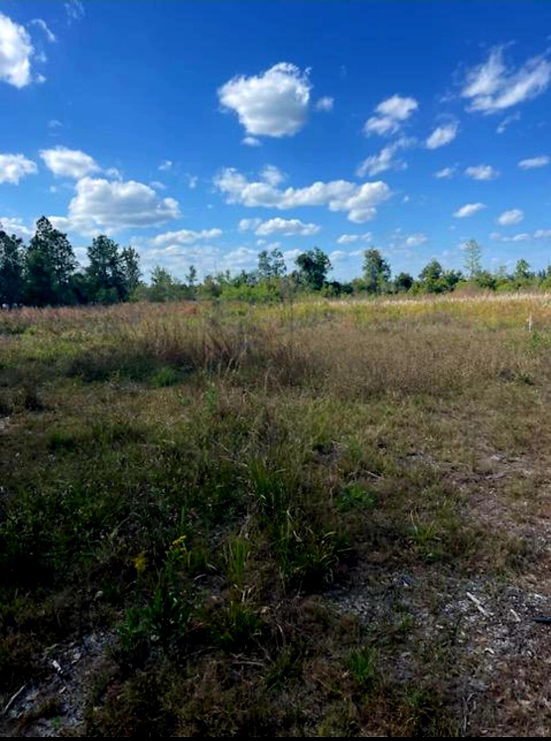 View details of listing 1108306 Oil Well Road, Clermont, FL 34714 Clermont with MLS# 