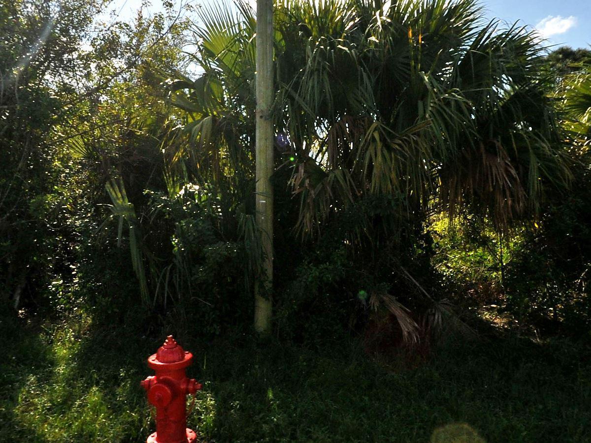 View details of listing 884 SW Mccoy Avenue, Port St. Lucie, FL 34953 Port St. Lucie with MLS#