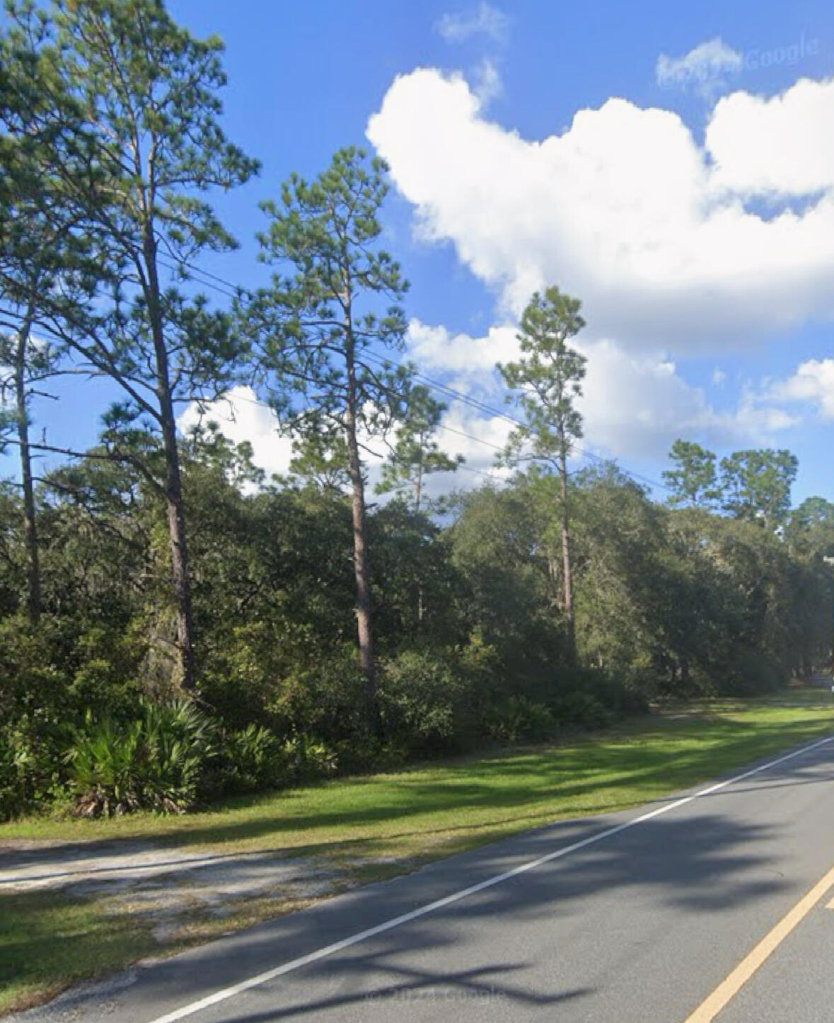 View details of listing 0 NE 315 Hwy, Fort McCoy, FL 32134 Fort McCoy with MLS#