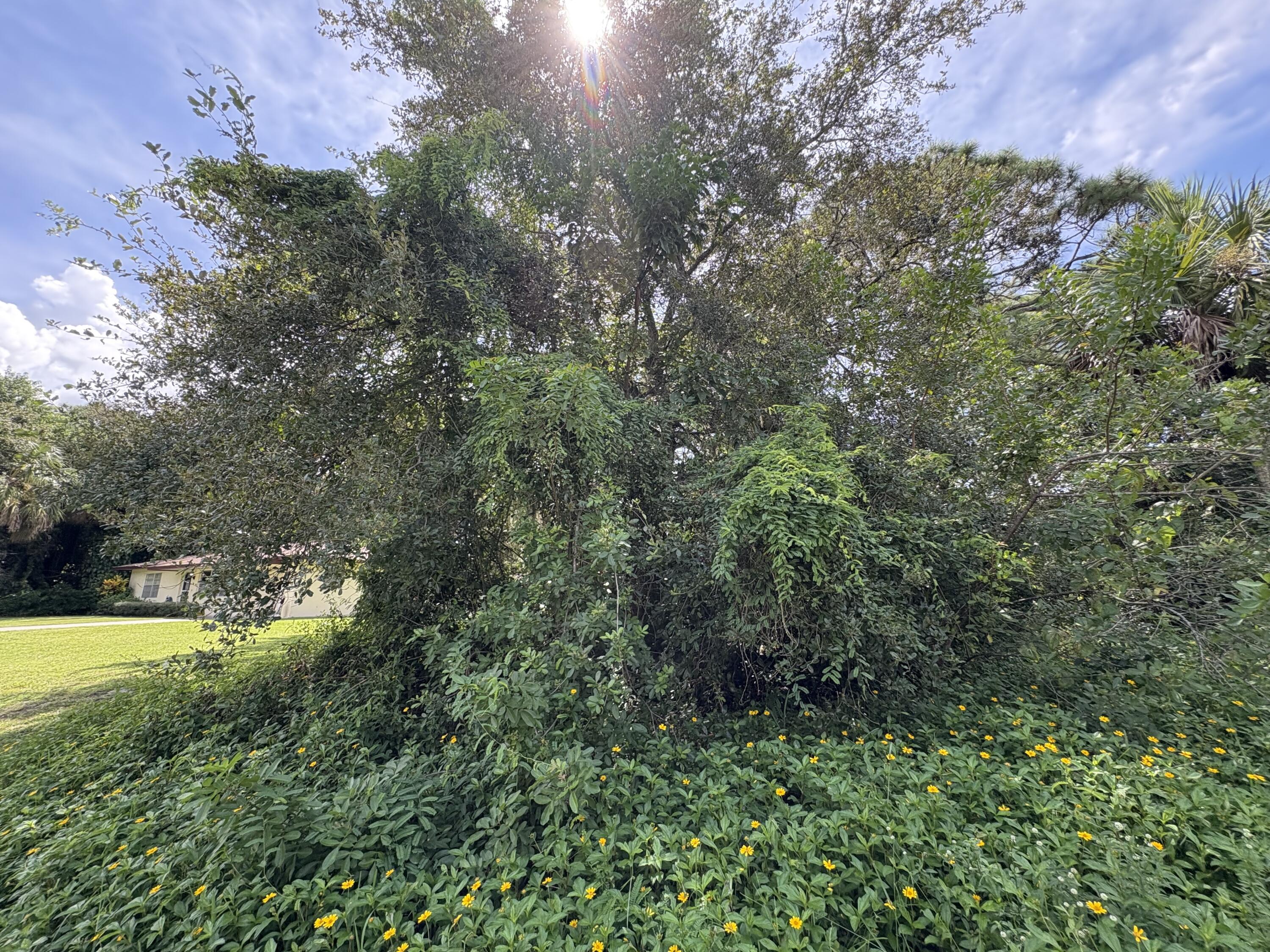 View details of listing Tbd Santa Clara Boulevard, Port St. Lucie, FL 34951 Port St. Lucie with MLS#