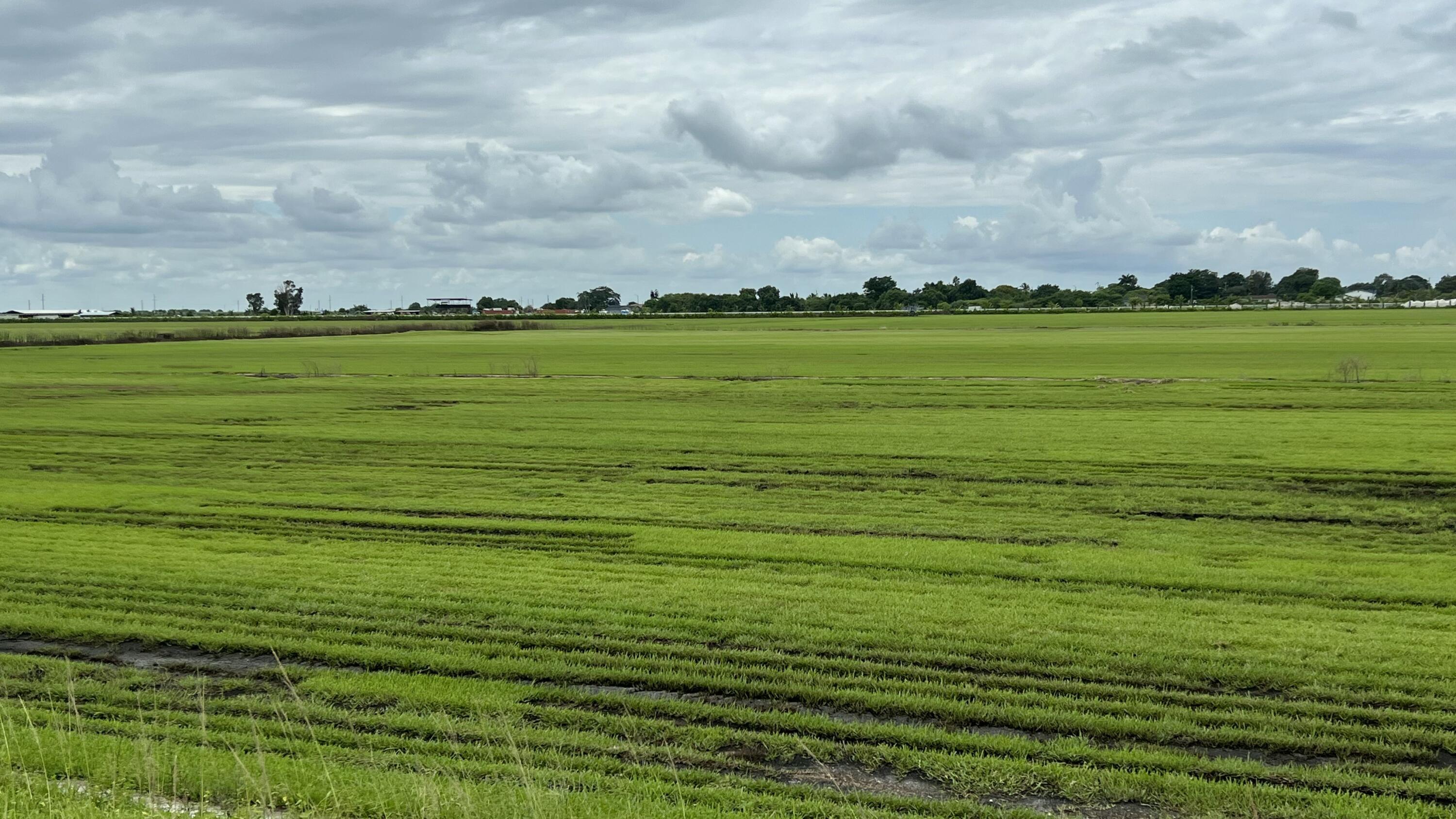 View details of listing 400 State Road 80, Belle Glade, FL 33430 Belle Glade with MLS#