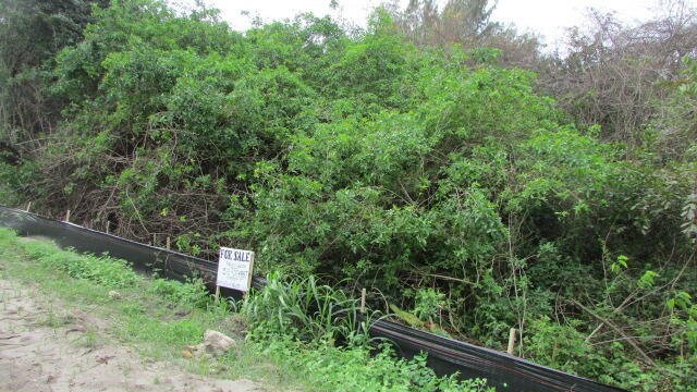 View details of listing 16750 SW Conners Highway, Okeechobee, FL 34974 Okeechobee with MLS#