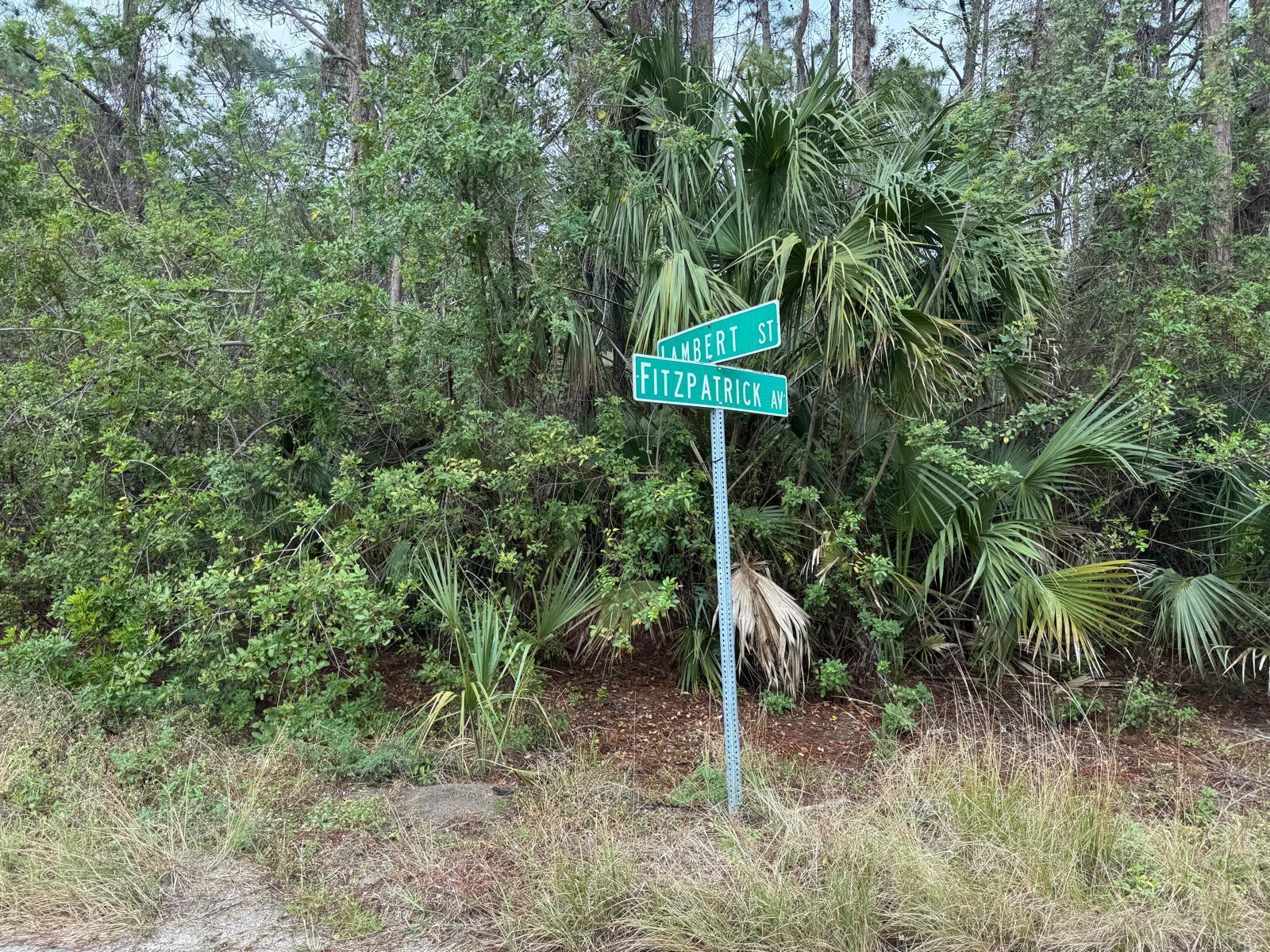 Listing  3395 Fitzpatrick Avenue SW, Palm Bay, FL 32908, Palm Bay, FL 32908