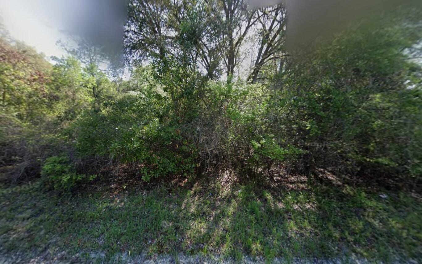 View details of listing Tbd NE 799th Street, Old Town, FL 32680 Old Town with MLS#