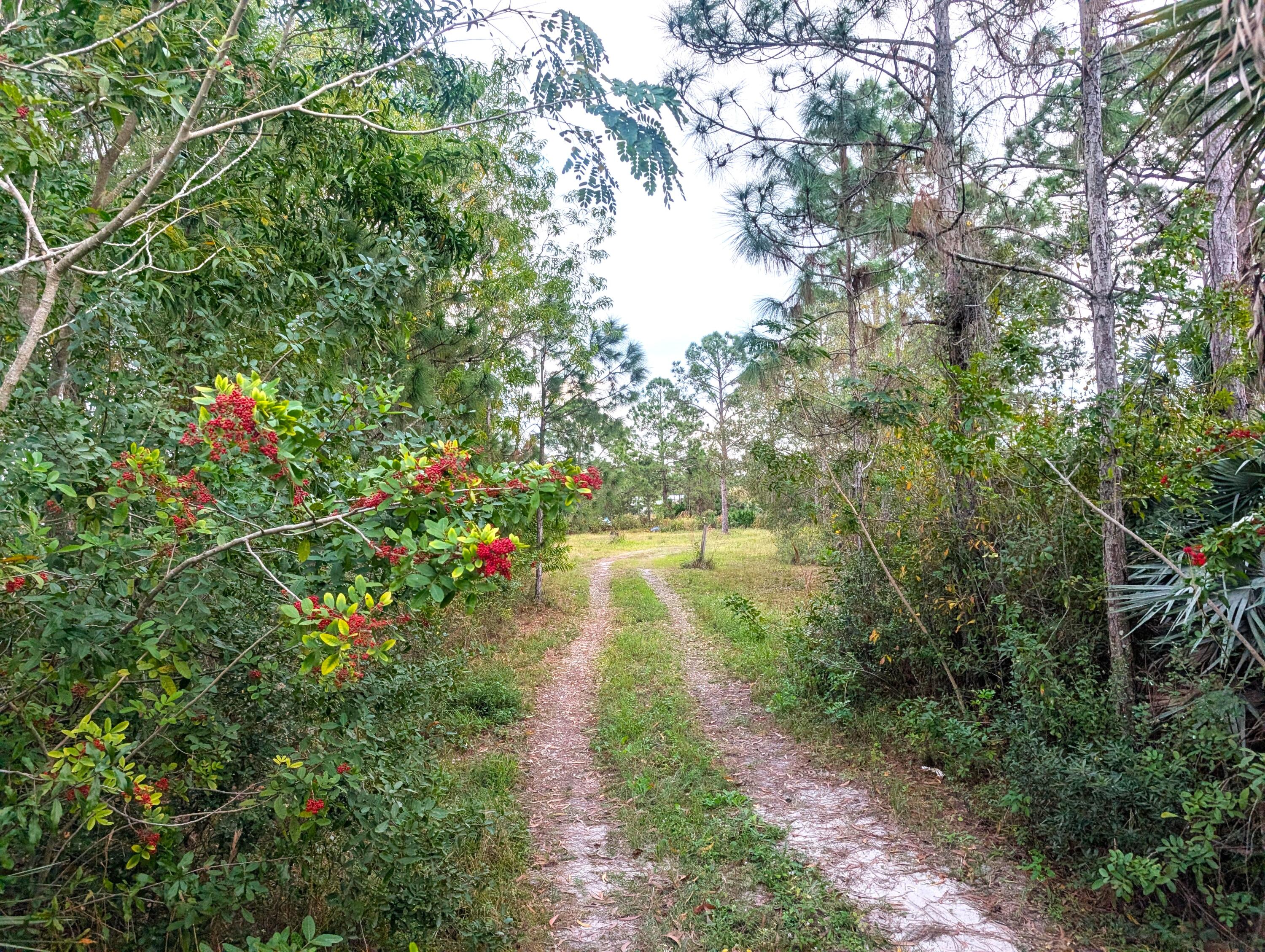 View details of listing 8590 130th Avenue, Fellsmere, FL 32948 Fellsmere with MLS#
