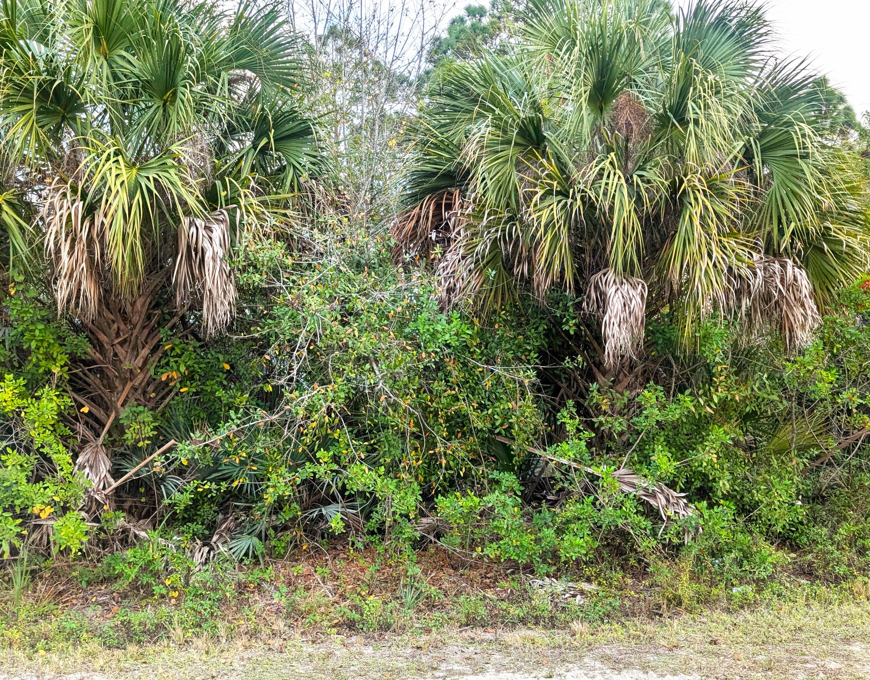 View details of listing 12885 86th Street, Fellsmere, FL 32948 Fellsmere with MLS#
