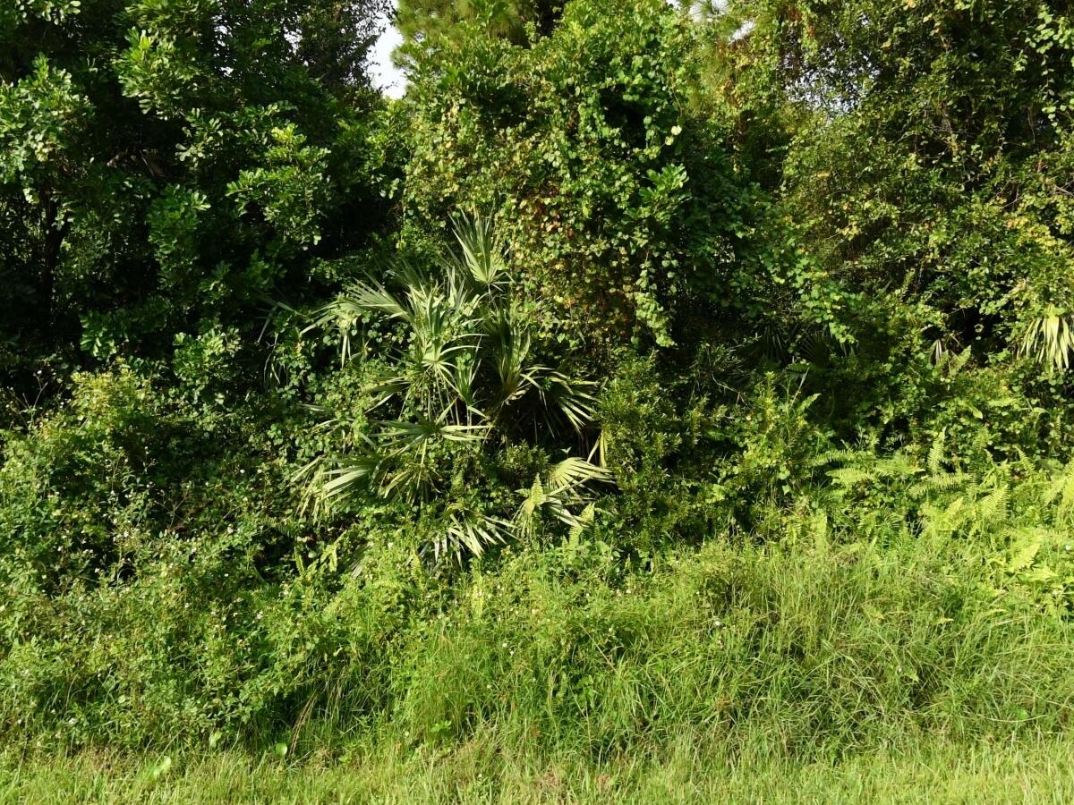 View details of listing 2338 SW Fern Circle, Port St. Lucie, FL 34953 Port St. Lucie with MLS#