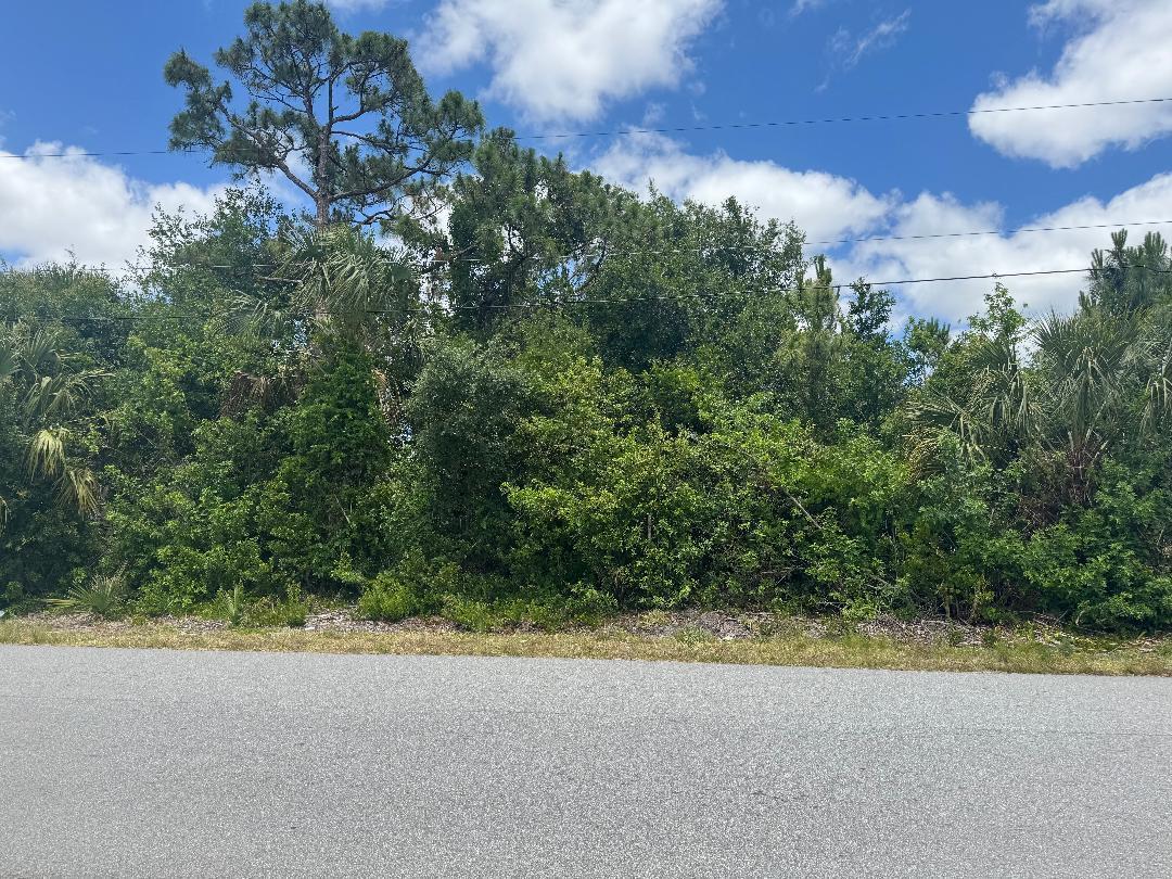 Listing  1437 Tidewell Street SE, Palm Bay, FL 32909, Palm Bay, FL 32909