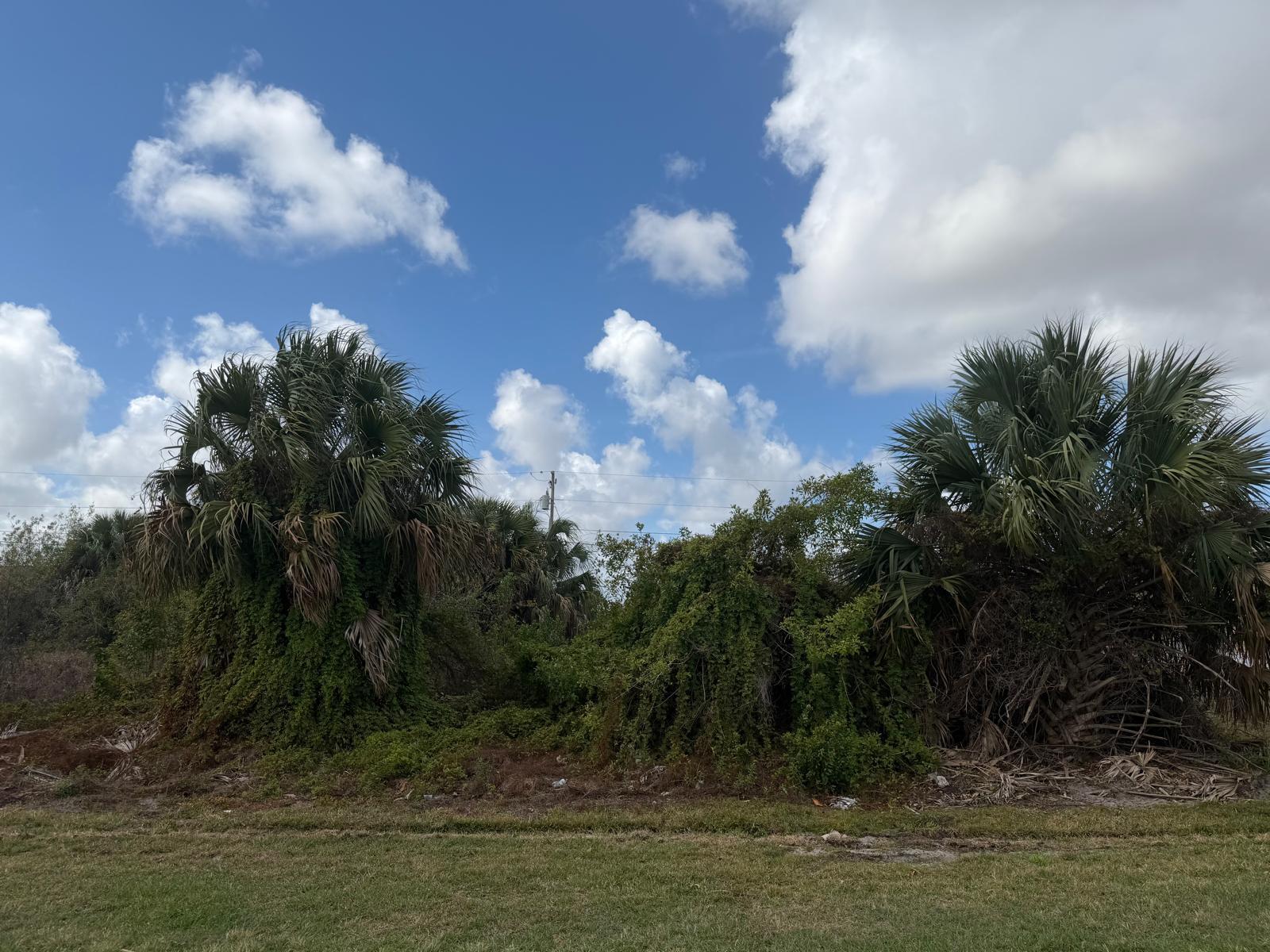 View details of listing 1658 SW Hampshire Lane, Port St. Lucie, FL 34953 Port St. Lucie with MLS# 